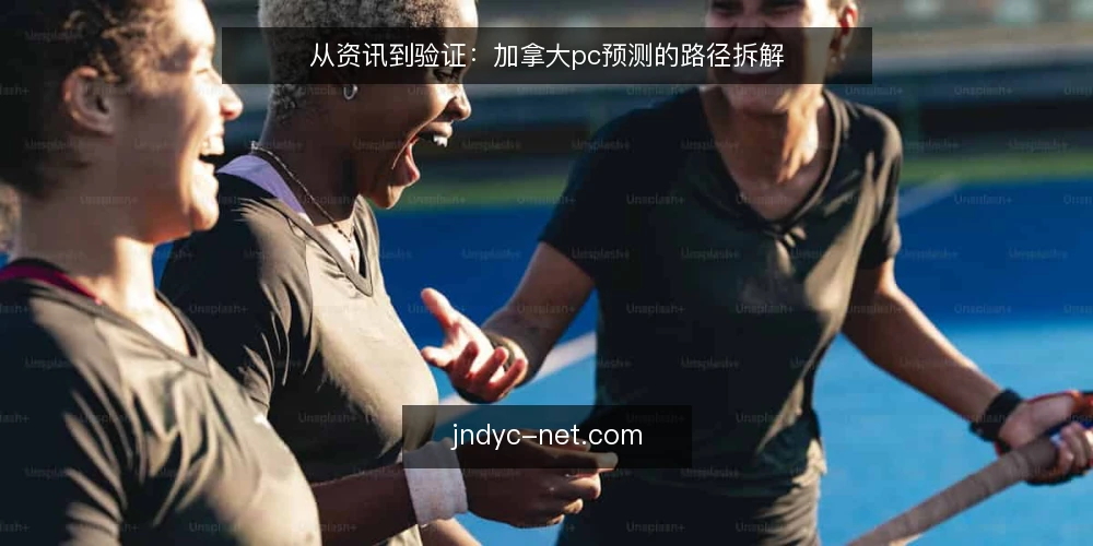 从资讯到验证：加拿大pc预测的路径拆解 — 起点：明确信息边界 配图
