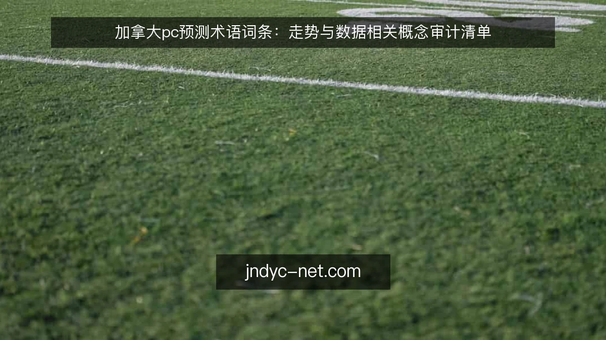 加拿大pc预测术语词条:走势与数据相关概念审计清单
