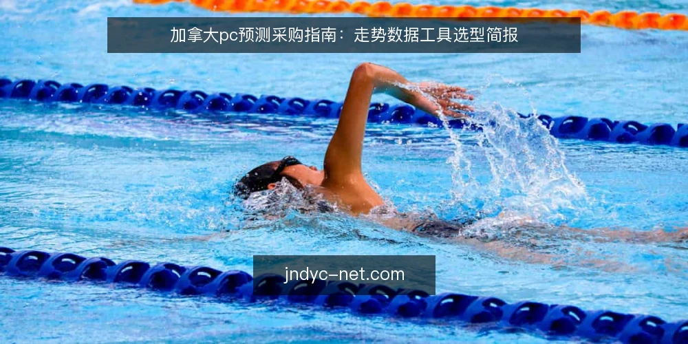加拿大pc预测采购指南:走势数据工具选型简报 — 需求定义:评估范围与使用场景 配图